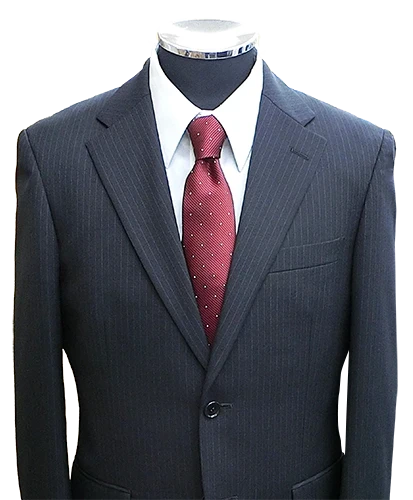 レギュラースーツ写真